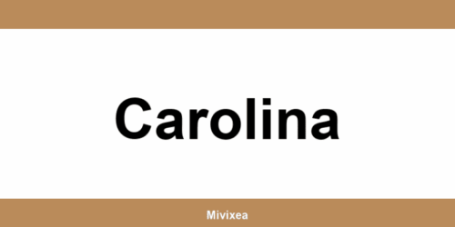 Número de teléfono del UPS Access Point en Carolina